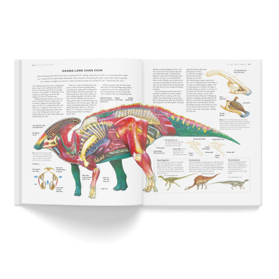 Sách - Bách Khoa Khủng Long Toàn Tập - Bìa Cứng