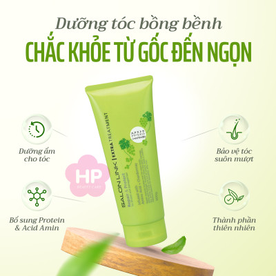 Kem Xả ủ Phục Hồi Tóc Hư Tổn Salon Link Extra Treatment 300G
