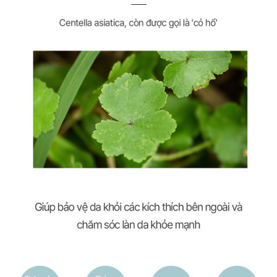 Kem Dưỡng Ẩm Mặt MESABLUE REFRESING BLUE GEL 5ml x 20ea