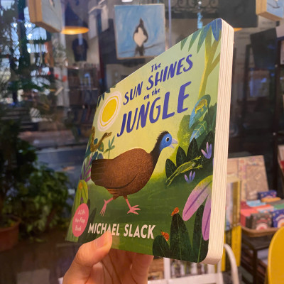 Sách - The Sun Shines on the Jungle by Michael Slack | English Children