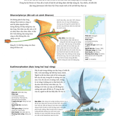 Sách - Bách Khoa Khủng Long Toàn Tập - Bìa Cứng