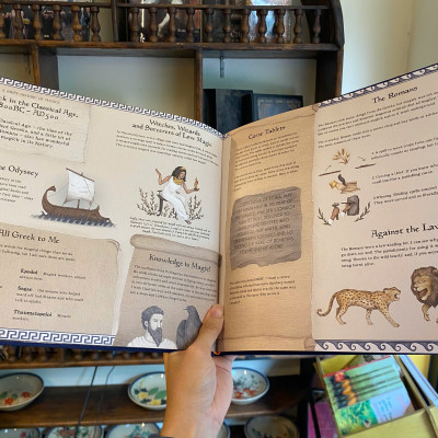 Sách - A Natural History of Magick (Folklore Field Guides) by Poppy David | Children