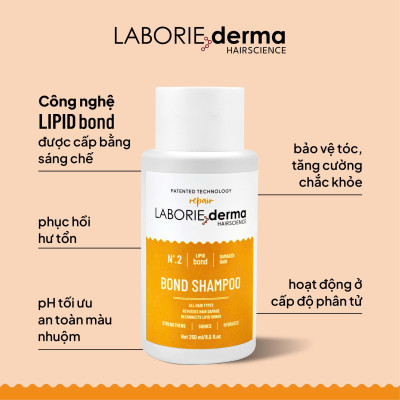 Dầu gội hỗ trợ phục hồi, tăng cường chắc khỏe tóc LABORIE derma Bond Shampoo 250ml