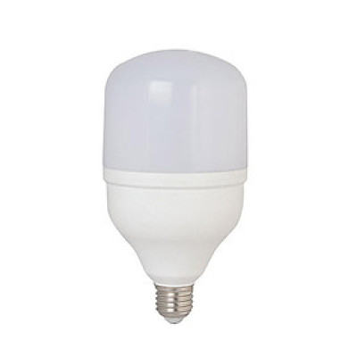 06 Bóng đèn led trụ 8W Rạng Đông, Model LED TR50N1/8w