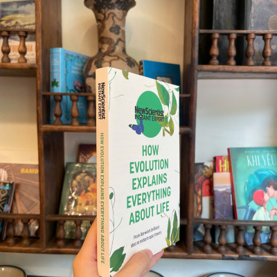 Sách - New Scientist - instant Expert: How Evolution Explains Everything about Life