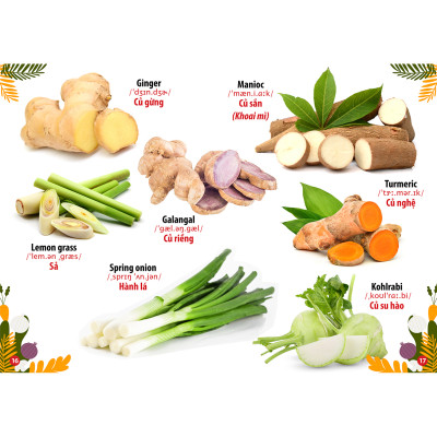 Sách - Trọn Bộ Combo Từ Điển Song Ngữ Đầu Tiên Của Bé ( bộ 8 cuốn)