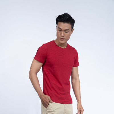 Áo thun nam cổ tròn Novelty 190153N