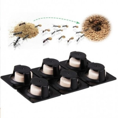 Viên Diệt Kiến Từ Mật Ong Đen Đường Nâu Diệt Tận Gốc Các Loại Kiến - Set 6 Viên