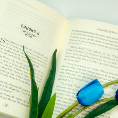 Sách - Lớn lên trên đảo vắng - Cuộc phưu lưu kịch tính của gia đình Robinson - Đinh Tị Books