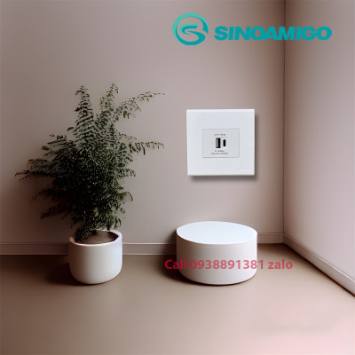 Sinoamigo P21-QC1: Ổ Cắm Sạc USB type  Âm Tường - Tích hợp 1 cổng USB type C, 1 cổng USb type A. Sạc nhanh 18W- Đa Năng và Tiện Lợi