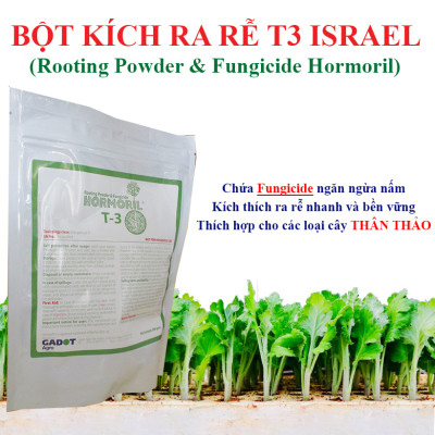 Nhập Khẩu Bột Kích Ra Rễ Israel cho cây thân Thảo, thân Mềm Hormoril T3 (with Fungicide)  có thành phần ngăn ngừa nấm bệnh cho rễ con 