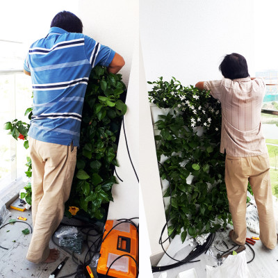 Khung Trồng cây ban công đứng Minigarden Vertical phong cách Châu Âu (1m2 gồm 8 module + 1 khay hứng nước) Kèm hệ thống tưới nhỏ giọt. Với 1 module trồng được 3 hóc cây. Thích hợp cho cả trồng rau sạch đứng