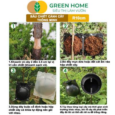 Bầu Chiết Cành GreenHome, R10cm(1 Thùng 80 CÁI), Tăng Khả Năng Ra Rễ,Phù Hợp Với Xoài, Mít,Sầu Riêng