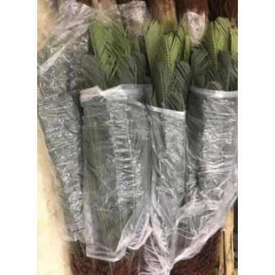 Cây vạn tuế giả - Size từ 90cm đến 110cm - Cây giả, hoa lụa Decor trang trí nhà cửa