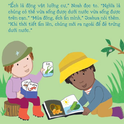 Thí Nghiệm Vui Cùng Rosa - Vòng Đời Của Ếch