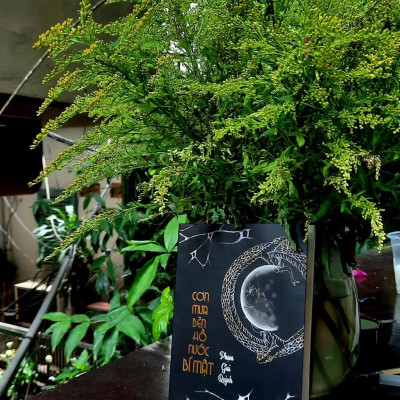 Cơn mưa bên hồ nước bí mật - Phạm Giai Quỳnh