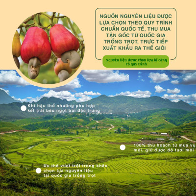 Hạt Điều Muối 454g Dan D Pak