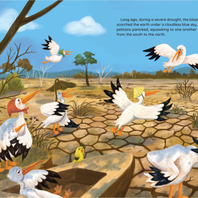 The Loving Little Pelican