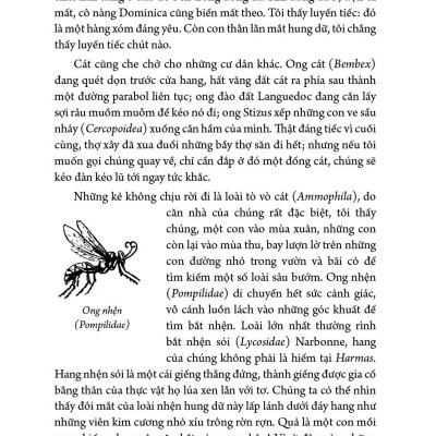 Combo 5 tập Côn trùng ký (1 - 5) - Ấn bản đầy đủ