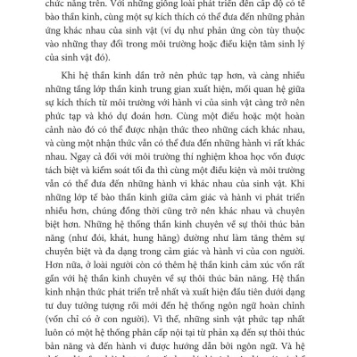 Beyond Order - Vượt Lên Trật Tự