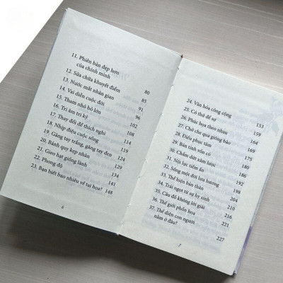 Sách - Đi Qua Giông Bão Lòng Bỗng Bình Yên - Tập 16 - Tuyển Tập Ranh Giới Giữa Mê Và Ngộ - Vĩnh Nghiêm Books