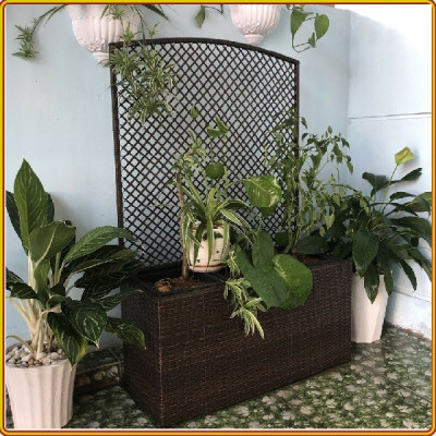 Chậu trồng hoa Juno Sofa hình chữ nhật 80 x 33 x 122 cm