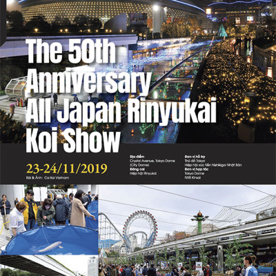 Cá Koi Vietnam - Tập 4