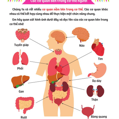 Sách - Cùng Em Rèn Luyện Khoa Học - Nâng Cao