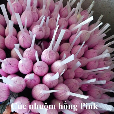 Nước Nhuộm Hoa Tươi Màu Hồng (Set 2 Chai) theo công nghệ Israel Color Sodium For Fresh Flowers giúp nhuộm đổi màu hoa cắt cành thành màu hồng đậm Pink