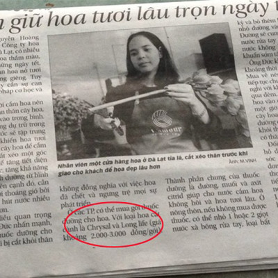 5 KG Bột Dưỡng Hoa Tươi Lâu Longlife SG ISRAEL