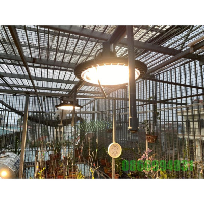 Đèn LED Trồng Lan 150W Phổ WBU, LED Rạng Đông - Hàng chính hãng