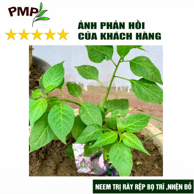 Combo Green Neem Hữu Cơ, Chế Phẩm Vi Sinh Biomic & Giấm Gỗ Sinh Học APY PMP Bảo Vệ Toàn Diện Hoa Hồng, Rau, Cây Cảnh