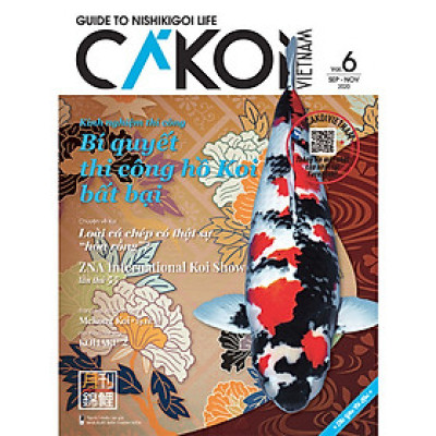 Cá Koi Vietnam - Tập 6