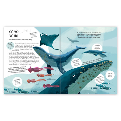 Sách - Teamwork Làm Việc Nhóm - Bài học từ Vương quốc động vật - Dành cho trẻ từ 3 tuổi