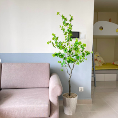 Cây thạch nam giả - thân nhựa - cao 140cm - Cây giả, hoa lụa Decor trang trí nhà cửa