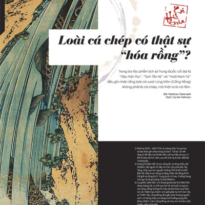 Cá Koi Vietnam - Tập 6