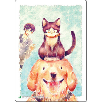 Bạn Cùng Nhà Thi Thoảng Trèo Lên Đầu Tôi - Tập 5 - Bản Đặc Biệt - Tặng Kèm Card PPVC Mèo Nổ + Extra Paper + Set 5 Card Ivory + Khung Ảnh Đựng Card