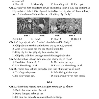 100 Đề Kiểm Tra Sinh Học 6