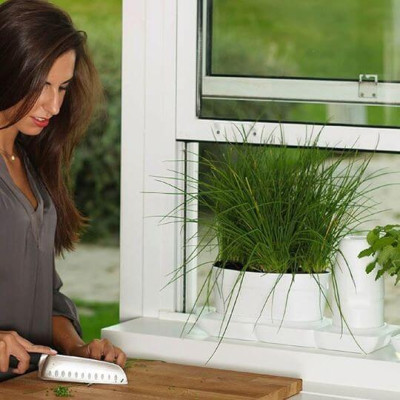 1 BỘ CHẬU TỰ DƯỠNG TRỒNG RAU BÍ XANH BASIC UNO NHẬP KHẨU BỒ ĐÀO NHA DÀNH CHO NGƯỜI BẬN RỘN NHƯNG YÊU THÍCH TRỒNG RAU TẠI NHÀ