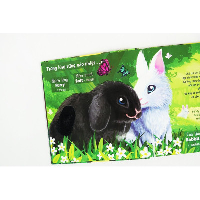 Sách - Touch And Feel - Sách Sờ Chạm Khám Phá - Thế Giới Động Vật - Một Ngày Giữa Thiên Nhiên - Đinh Tị Books