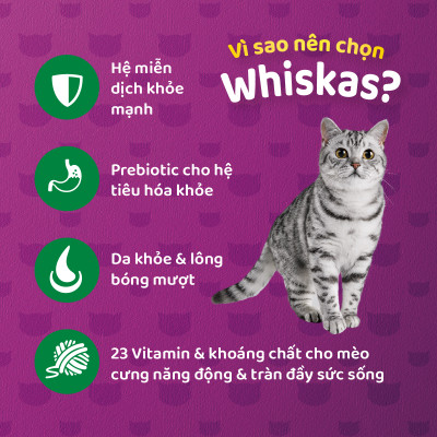 Thức Ăn Cho Mèo Whiskas Adult 1+ YearsVị Cá Ngừ 480g/Túi