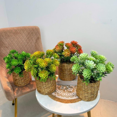 Chậu cây trang trí để bàn kèm giỏ y hình các loại - Cao 35cm đến 48cm - Cây giả, hoa lụa Decor trang trí nhà cửa.