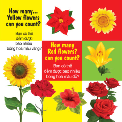 Sách - 100 Từ Đầu Tiên - Số Đếm- Song Ngữ (VT)