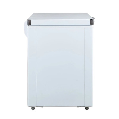 Tủ Đông Alaska BD-300C (205L) - Hàng chính hãng