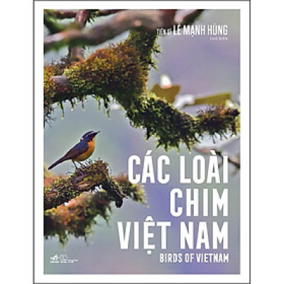 Các Loài Chim Việt Nam (Birds Of Vietnam)
