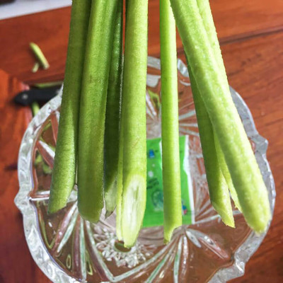 Thuốc Bột Cắm Hoa Tươi nhập khẩu Israel tại shop Florist (1 hủ pha 100L nước cắm hoa) hiệu Longlife SG là bí quyết giúp hoa cắm Xốp tươi lâu và hạn chế chăm sóc thay hoa mới