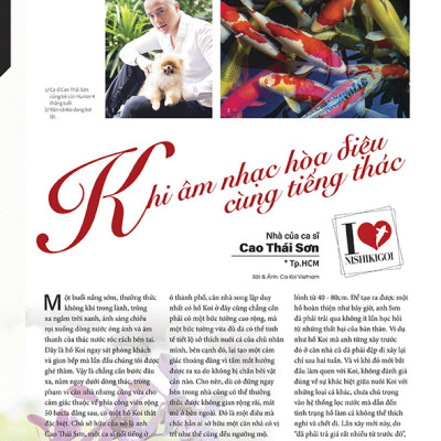 Cá Koi Vietnam - Tập 7