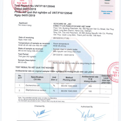 Nước rửa tay hữu cơ diệt khuẩn dạng bọt hương Quế 1000ml thương hiệu Ecocare (tặng kèm vỏ tạo bọt)