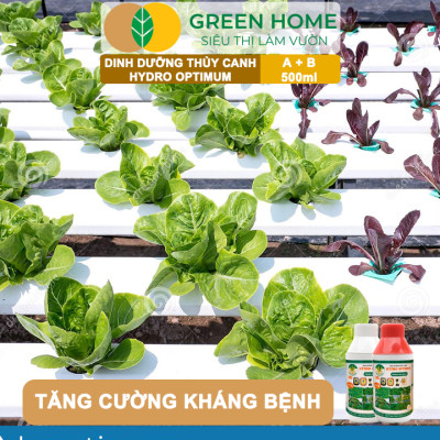 Dung Dịch Thủy Canh Hydro Optimum, GreenHome, Bộ 2 chai 500ml, Dinh Dưỡng Thủy Canh Rau Ăn Lá, Hữu Cơ