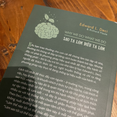SAO TA LÀM ĐIỀU TA LÀM - Edward L. Deci - First News – bìa mềm